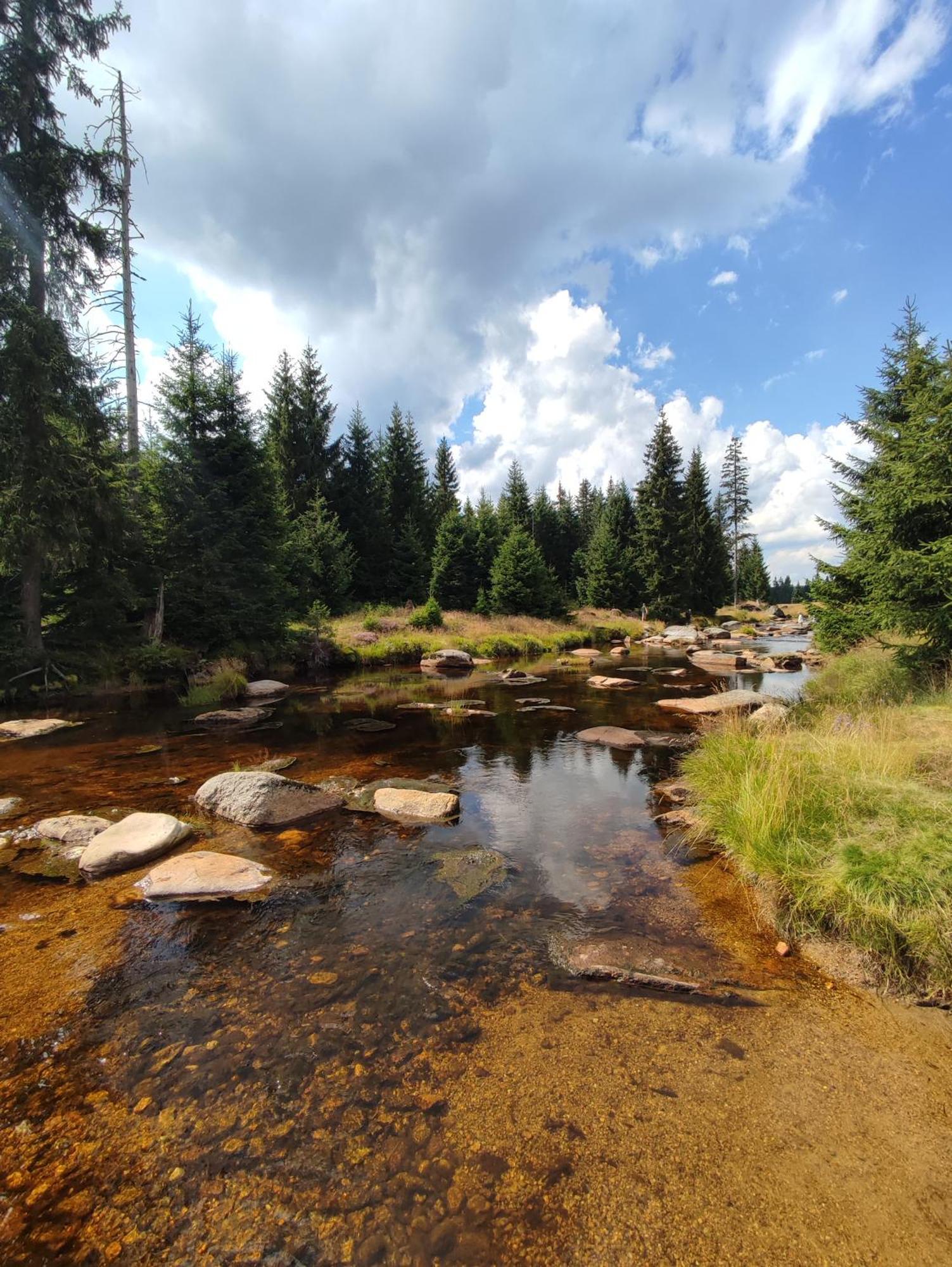 Przystanek W Sudetach Z Jacuzzi - Za Doplata * Leszczyniec